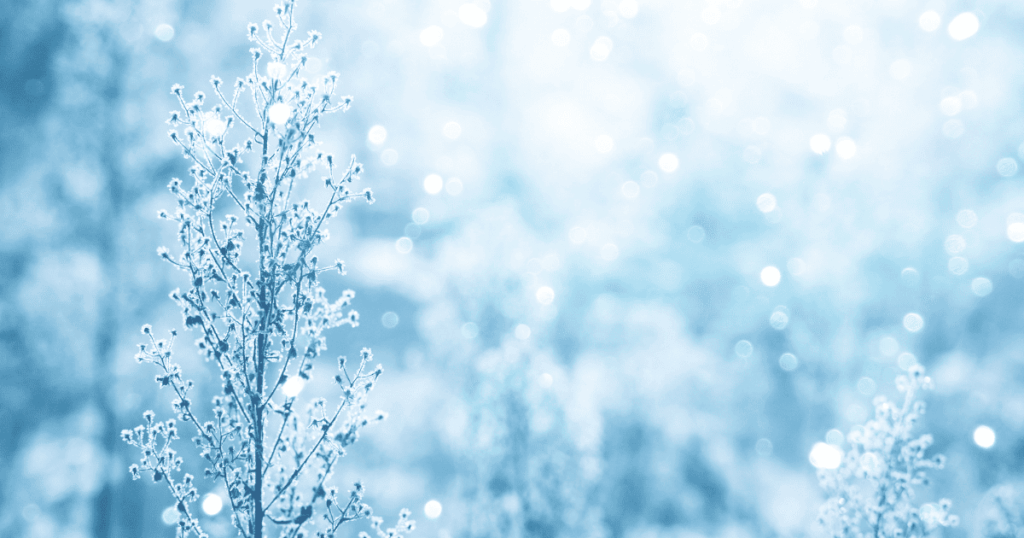 年末のご挨拶　2025