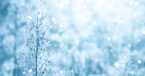 年末のご挨拶　2025